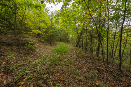The View Clinch Mountain Mooresburg Tennessee 6.73 Acres - image 26