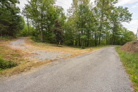 The View Clinch Mountain Mooresburg Tennessee 6.73 Acres - image 17