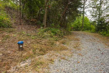 The View Clinch Mountain Mooresburg Tennessee 6.73 Acres - image 16
