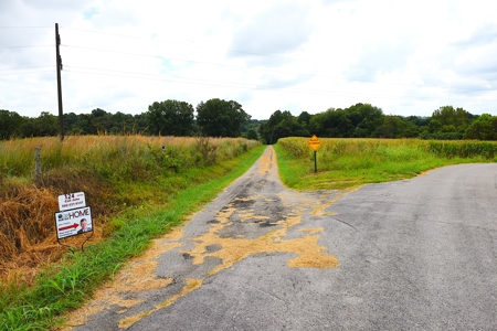 Kentucky Multi-Family Retreat, 124 Acres, 2 Houses, Creeks, Ponds - image 7