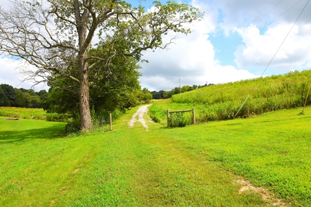 Kentucky Multi-Family Retreat, 124 Acres, 2 Houses, Creeks, Ponds - image 24