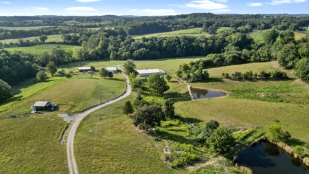 Kentucky Multi-Family Retreat, 124 Acres, 2 Houses, Creeks, Ponds - image 46