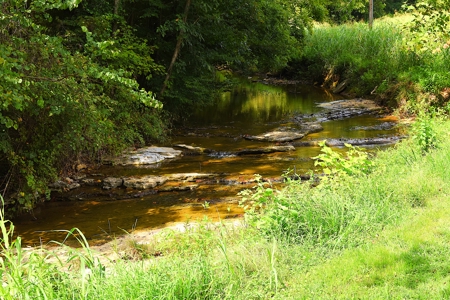 Kentucky Multi-Family Retreat, 124 Acres, 2 Houses, Creeks, Ponds - image 9