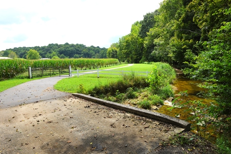 124 Ac Paradise, Privacy, New House, Guest House, Creeks, Hunting - image 48