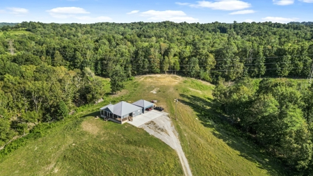 Kentucky Multi-Family Retreat, 124 Acres, 2 Houses, Creeks, Ponds - image 48