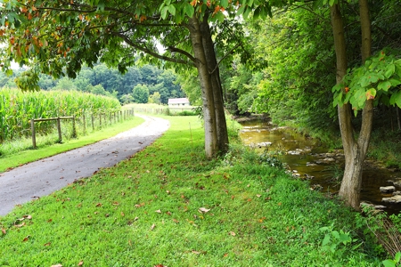 Kentucky Multi-Family Retreat, 124 Acres, 2 Houses, Creeks, Ponds - image 2