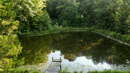 Kentucky Multi-Family Retreat, 124 Acres, 2 Houses, Creeks, Ponds - image 47