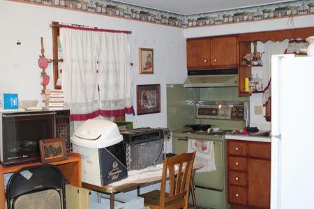 Lake Cabin or Fishing Retreat in Pontiac, MO on Bull Shoals Lake - image 7