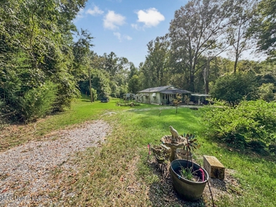 Affordable Home on 5 Acres in Natchez, MS - image 19