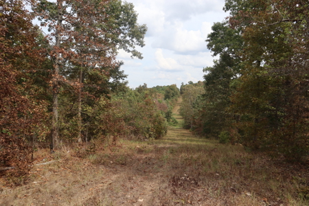 Ozarks Acreage With Creek & Spring For Sale Near Salem Arkansas - image 29