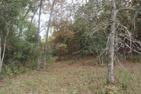 Ozarks Acreage With Creek & Spring For Sale Near Salem Arkansas - image 13