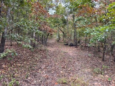 Ozarks Acreage With Creek & Spring For Sale Near Salem Arkansas - image 37