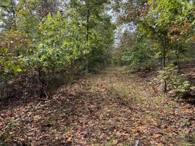 Ozarks Acreage With Creek & Spring For Sale Near Salem Arkansas - image 43