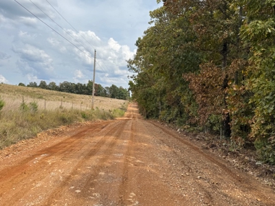 Ozarks Acreage With Creek & Spring For Sale Near Salem Arkansas - image 39