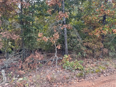 Ozarks Acreage With Creek & Spring For Sale Near Salem Arkansas - image 40