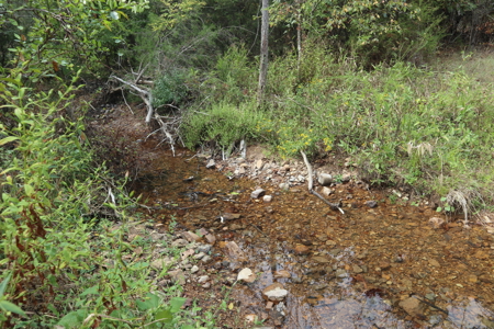 Ozarks Acreage With Creek & Spring For Sale Near Salem Arkansas - image 34