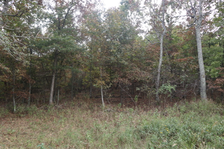 Ozarks Acreage With Creek & Spring For Sale Near Salem Arkansas - image 14