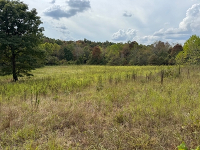 Ozarks Acreage With Creek & Spring For Sale Near Salem Arkansas - image 45