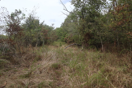 Ozarks Acreage With Creek & Spring For Sale Near Salem Arkansas - image 21