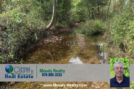 Ozarks Acreage With Creek & Spring For Sale Near Salem Arkansas - image 50