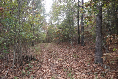 Ozarks Acreage With Creek & Spring For Sale Near Salem Arkansas - image 18
