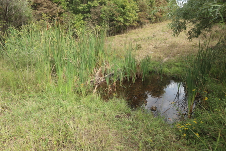 Ozarks Acreage With Creek & Spring For Sale Near Salem Arkansas - image 31