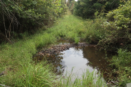 Ozarks Acreage With Creek & Spring For Sale Near Salem Arkansas - image 2