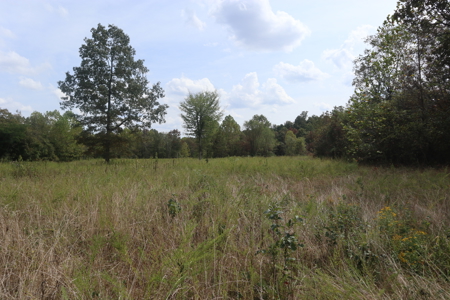 Ozarks Acreage With Creek & Spring For Sale Near Salem Arkansas - image 10