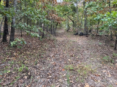 Ozarks Acreage With Creek & Spring For Sale Near Salem Arkansas - image 46