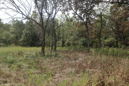 Ozarks Acreage With Creek & Spring For Sale Near Salem Arkansas - image 5