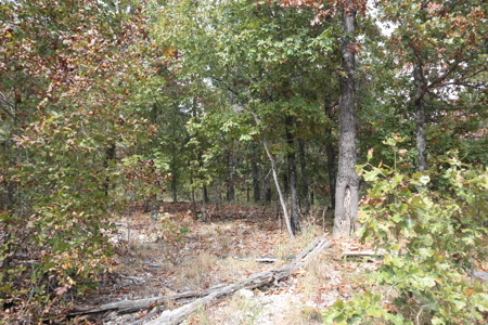 Ozarks Acreage With Creek & Spring For Sale Near Salem Arkansas - image 28