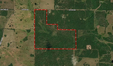 Ozarks Acreage With Creek & Spring For Sale Near Salem Arkansas - image 49