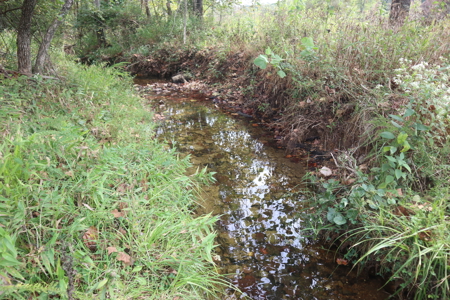 Ozarks Acreage With Creek & Spring For Sale Near Salem Arkansas - image 1