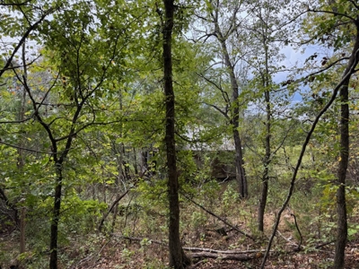 Ozarks Acreage With Creek & Spring For Sale Near Salem Arkansas - image 36