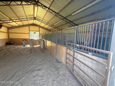 Pike Co Home with 125 Acres in North Pike School District - image 34