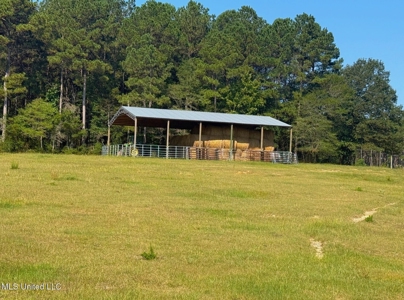 Pike Co Home with 125 Acres in North Pike School District - image 37