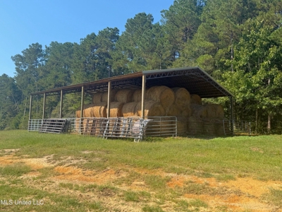 Pike Co Home with 125 Acres in North Pike School District - image 36