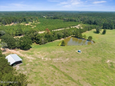 Pike Co Home with 125 Acres in North Pike School District - image 45
