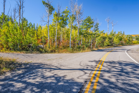 Colorado Ski Property Commercial, Condo or Residential Lot - image 26