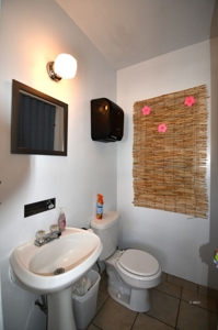 Tropical Sodies Business for Sale Fully Operational & Ready to go - image 7