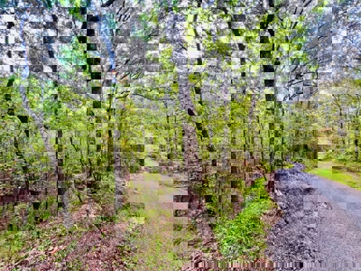 Land for Sale in Prentiss County MS Near Booneville and Marietta - image 16