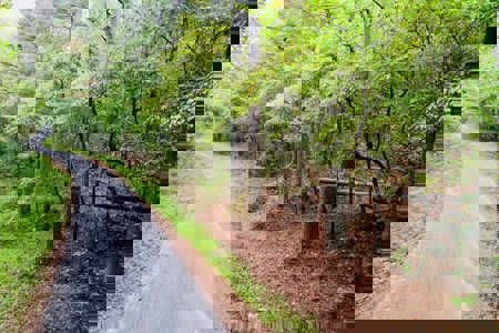 Land for Sale in Prentiss County MS Near Booneville and Marietta - image 22