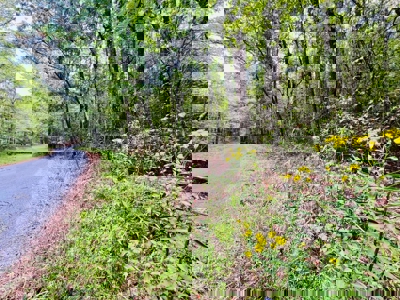 Land for Sale in Prentiss County MS Near Booneville and Marietta - image 1