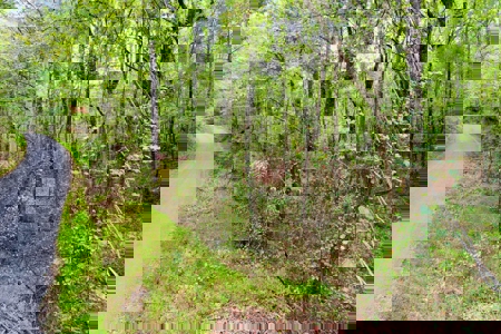 Land for Sale in Prentiss County MS Near Booneville and Marietta - image 27