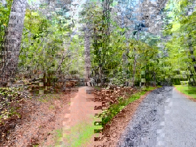 Land for Sale in Prentiss County MS Near Booneville and Marietta - image 21