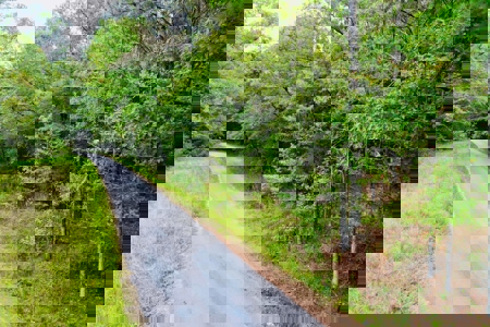 Land for Sale in Prentiss County MS Near Booneville and Marietta - image 9