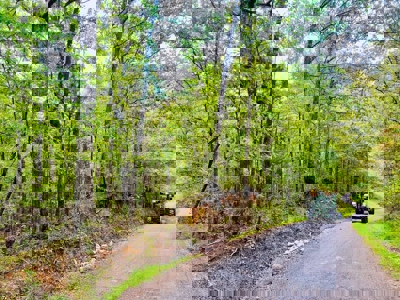 Land for Sale in Prentiss County MS Near Booneville and Marietta - image 12