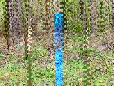 Land for Sale in Prentiss County MS Near Booneville and Marietta - image 3