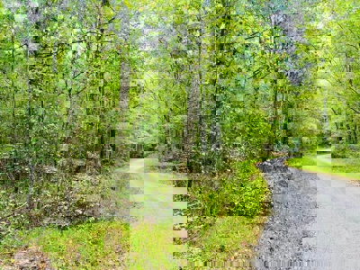 Land for Sale in Prentiss County MS Near Booneville and Marietta - image 14