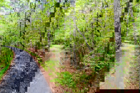 Land for Sale in Prentiss County MS Near Booneville and Marietta - image 19